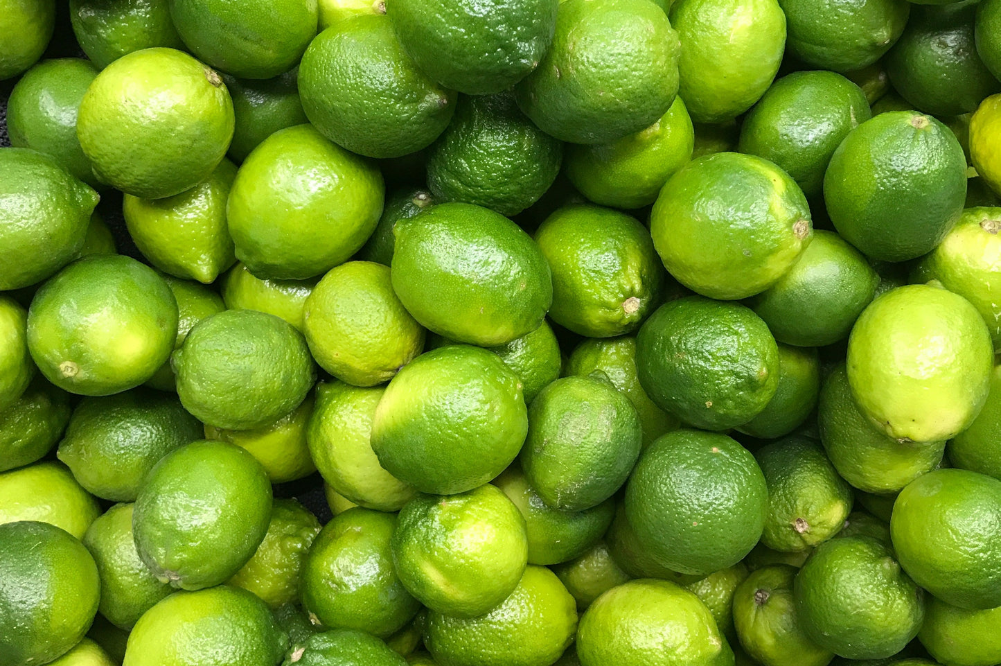 Persian Lime Olive Oil