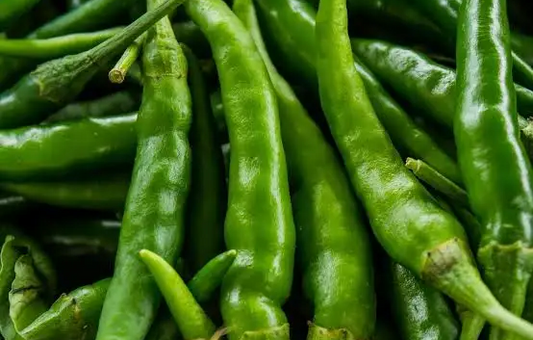 Baklouti Green Chilli Oil