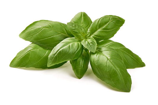 Basil Olive Oil