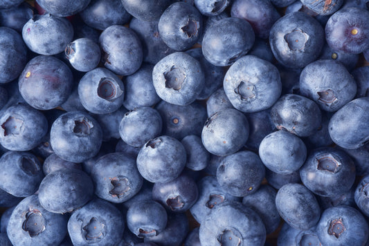 Blueberry Dark Balsamic Vinegar