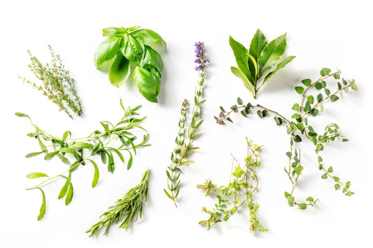 Herbes de Provence Olive Oil