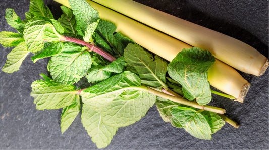 Lemongrass Mint Balsamic Vinegar
