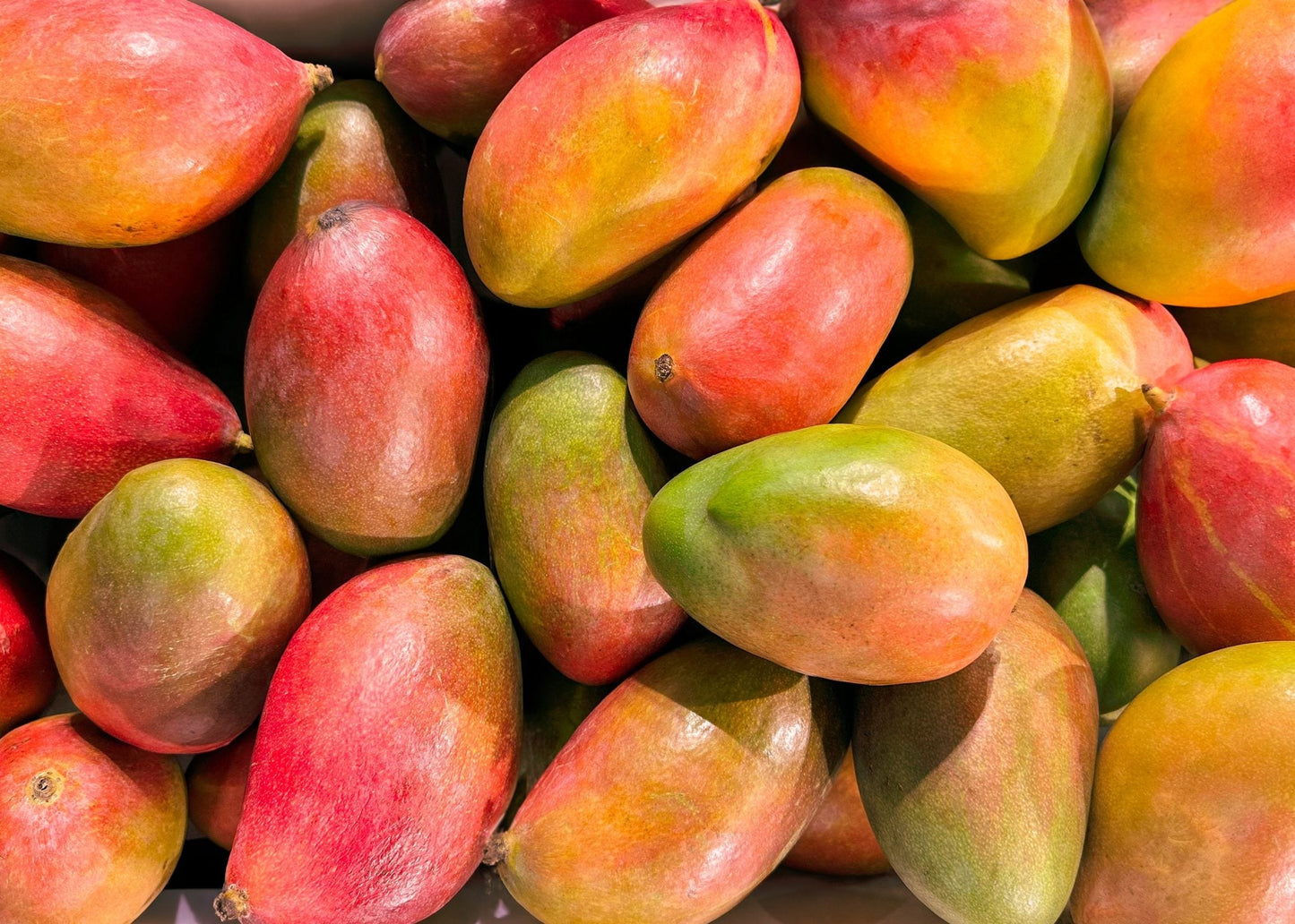 Mango White Balsamic Vinegar