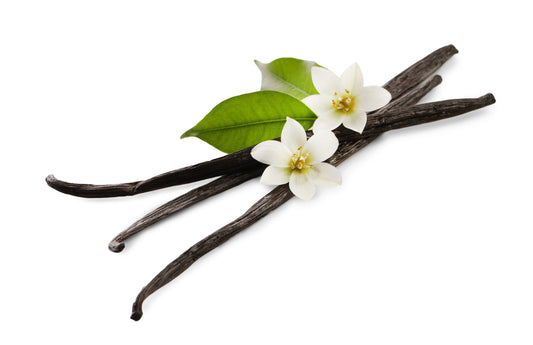 Vanilla Dark Balsamic Vinegar