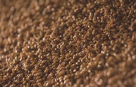 Japanese Roasted Sesame Oil