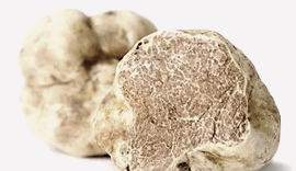 White Truffle Oil